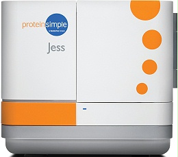 多功能全自动蛋白表达定量分析仪