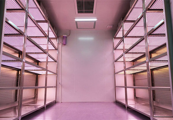 福建九圃步入式培养箱